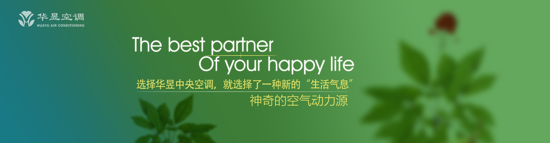 各不相谋网